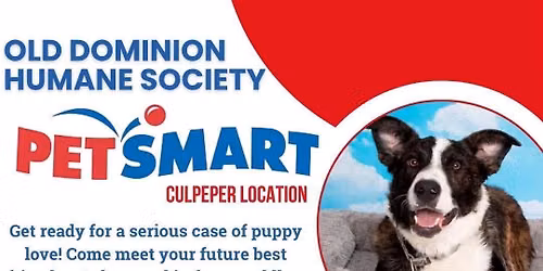 Petsmart and ODHS Adoption Event