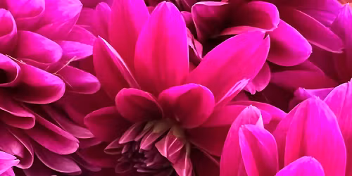 Fall Green Elephant Swap