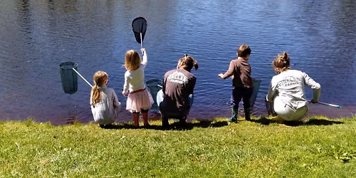 Frogs, Fish, and Wiggles