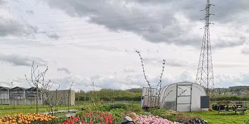 Tulpen-pluk & info-moment 