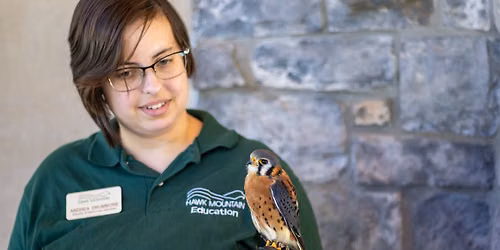 Hawk Watch: Raptors, Migration & Meadow Conservation