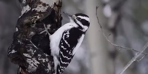 What's on the River?