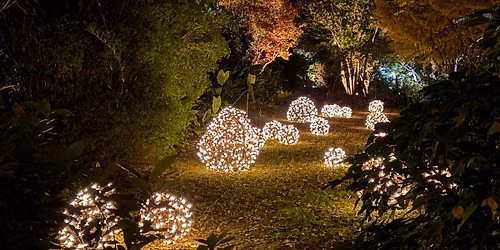 Moonlight in the Garden Third Weekend