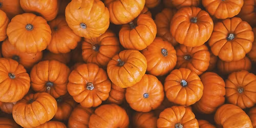 Pumpkin Smash at The Summit