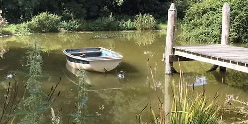 South Bosent | Open Garden event