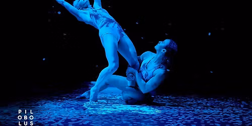 Pilobolus - Other Worlds