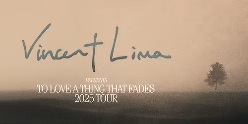 Parking Vincent Lima