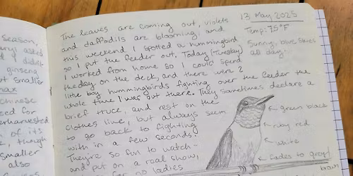 Finding Wonder: Intro to Nature Journaling