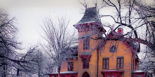 Woodland Winter Walk