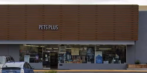 Torrance - Dog dental cleaning