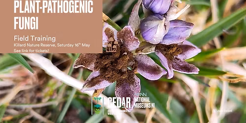 Plant Pathogenic Fungi Identification Course