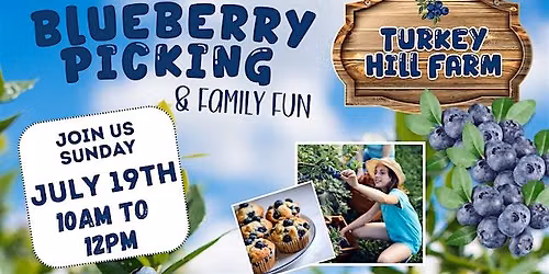 Come enjoy free Blueberry Picking, Family Fun & Photos at Turkey Hill Farm!