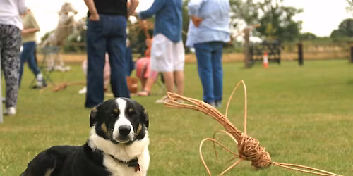 Beginner's Willow Weaving Workshop - Sunday 12th July 2026