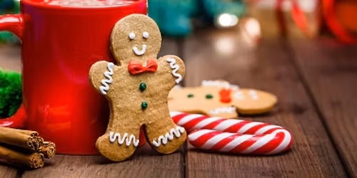 Ladies Day Out & Santa Pictures 