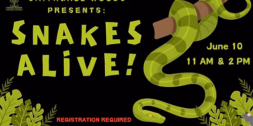 SRP: Smithgall Woods-Snakes Alive