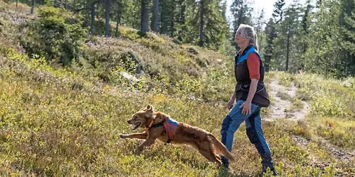 Runderingskurs