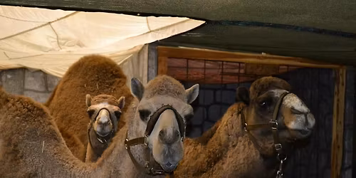 Bethlehem Marketplace 2025 Day 2