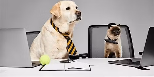 Pet ER and CVCA for Pets Referral Case Review