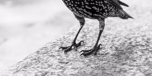 Vernissage Expo Photo No\u00e9 Del\u00e9pine