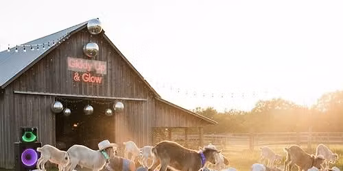 Cowboy Disco Goat Yoga 