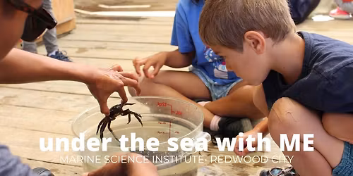 Under the Sea with ME - Crabs Aren't Cranky