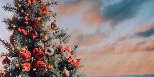 Santa photos at Cosy Paws VIP \ud83d\udc3e 