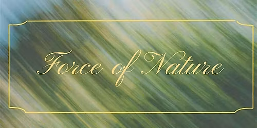 Force of Nature: An Immersive Community Art Gallery Exhibition