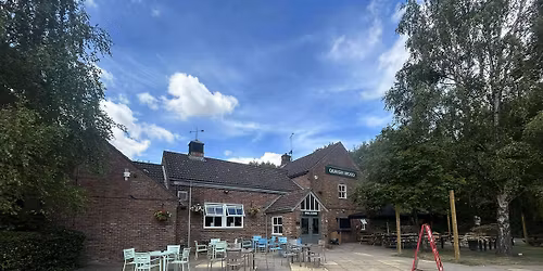 Batsh!t Bingo Christmas Edition