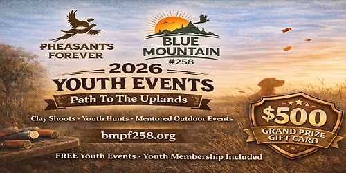 Youth Summer Series