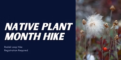 Alaska Native Plant Month: Rodak Loop Hike