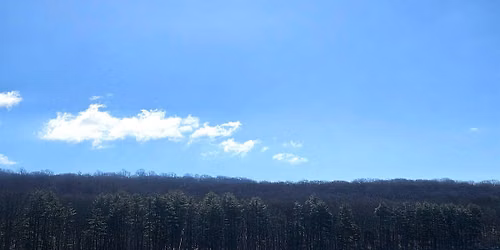 Creative Reset: Nature Art Walk