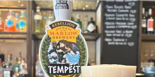 Rebellion Beer Tasting Event