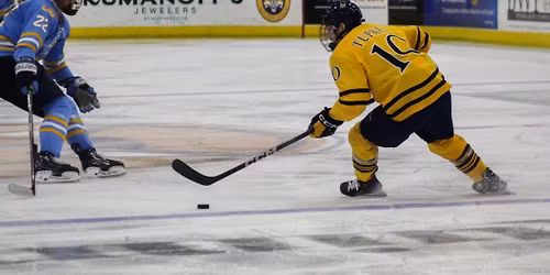 Holy Cross Crusaders at Quinnipiac Bobcats Mens Hockey at M&T Bank Arena