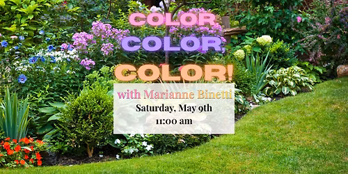 Color, Color, Color! An hour with Marianne Binetti!