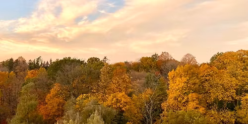 Fall Colours Walk