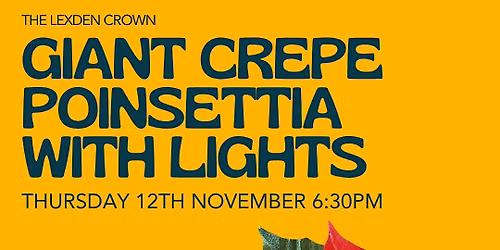 Giant Crepe Poinsettia with Lights Workshop