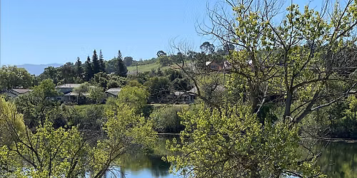 Women's Rosh Chodesh: Morning Hike