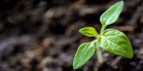 Sustainability Fair 2026