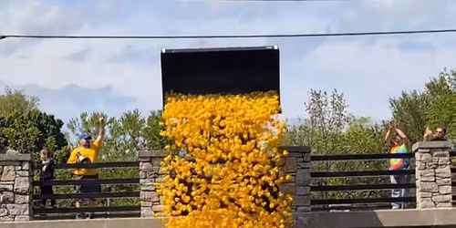 Lucky Ducky Derby at Falls Memorial Fest
