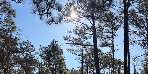 Gayture walk \ud83e\udd7e\ud83c\udf32\ud83c\udf08