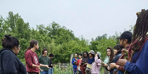Edible and Medicinal Plant Walk with Bodhi Vasilopoulos