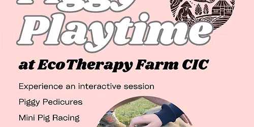 Copy of Piggy Playtime