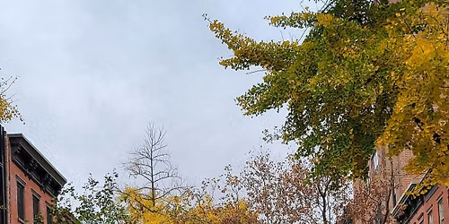 kickback & create: bushwick fall photo walk