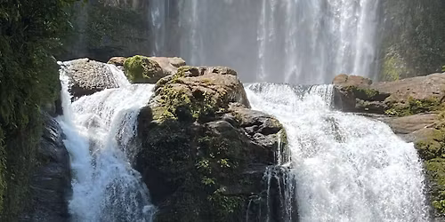 Kobieta si\u0142\u0105 Natury - Moc Zasilaj\u0105cego Kr\u0119gu Dzikich i Delikatnych