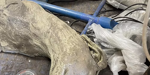 WILLIAM SOUTAR & WALTER SCOTT @ HAME IN PERTH