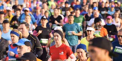 Gazley Volkswagen Wellington Marathon - 2026