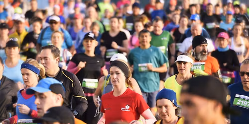 Gazley Volkswagen Wellington Marathon - 2026