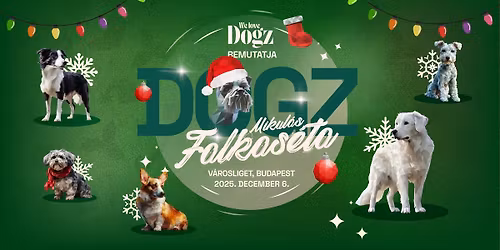 DOGZ Mikul\u00e1s Falkas\u00e9ta