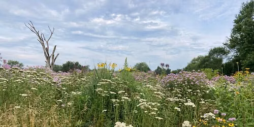 The Highlands Walk & Talk