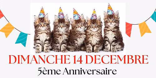 5 eme Anniversaire Des Chats Libres de Montagnac Repas festif 